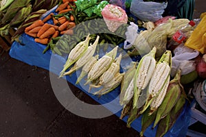 Produce at Main Market  829953