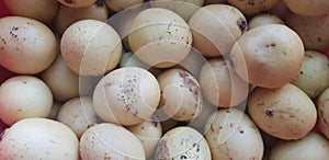 Produce; marula, Amarula; fruit