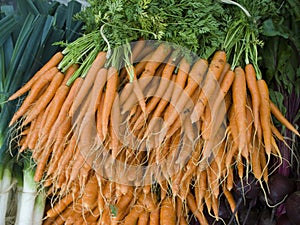 Produce - organic carrots background