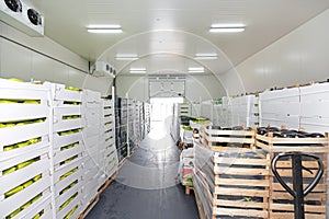 Produce Storage Unit