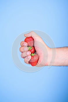 Producing fresh strawberry juice. Hand holds red sweet ripe berries blue background. Squeezing fresh strawberry juice