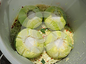 Producing sauerkraut at home
