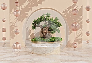 Product display podium for cosmetic showcase with water and tree