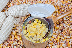 A product from a kitchen garden