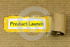 Product launch business technology new development design marketing startup service