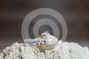 Product photograph of spoon or measuring scoop of whey protein on grey wooden background.