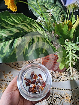 product photos with a breakfast concept of yogurt, chia seeds and kurma in a small jar under a vase of leaves