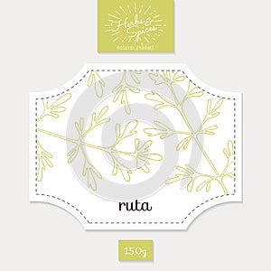 Product sticker with hand drawn ruta or rue. Spicy photo