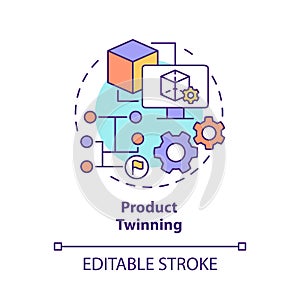 Product twinning concept icon