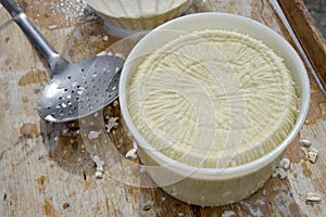 Production of artisanal cheese photo