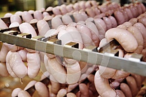 Production of boiled sausages and smoked sausage at a meat factory