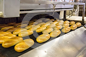 Production of bread in factory