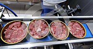 Production of canned meat. Finished cans of meat without labels are moved along the conveyor