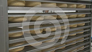 Production of cheese wheels in factory