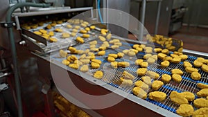 production of chicken. healthy food manufactory