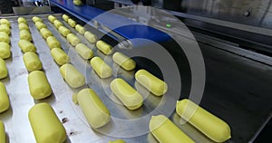 Production of chocolates. Automated chocolate production line at the factory.