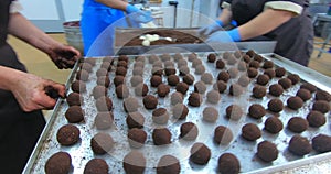 Production of chocolates. Automated chocolate production line at the factory