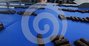 Production of chocolates. Automated chocolate production line at the factory