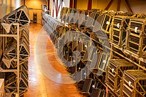 Production of cremant sparkling wine in Burgundy, France. Automatically powered riddling remuage boxes on factory