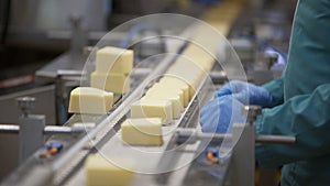 Production food. Cheese factory manufacturing process. Cheese wheel on manufacturing line at food plant