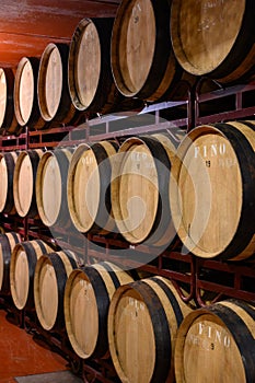 Production of fortified jerez, xeres, sherry wines in dark oak barrels in sherry triangle, Jerez la Frontera, El Puerto Santa