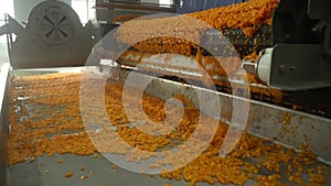 Production of frozen vegetables. Food production plant. Healthly food.