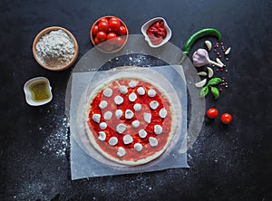 Production of Italian pizza Margarita. Stage of production. Tomato sauce, mozzarella cheese and tomatoes.