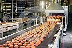 Production line of baking cookies. Biscuits on conveyor belt in confectionery factory, food industry