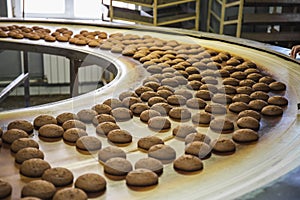 Production line of baking cookies. Biscuits on conveyor belt in confectionery factory, food industry
