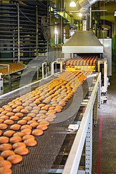 Production line of baking cookies. Biscuits on conveyor belt in confectionery factory, food industry