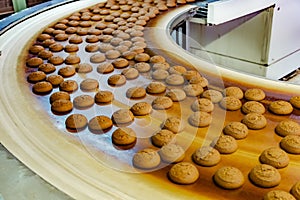 Production line of confectionery factory. Cookies on turning conveyor belt