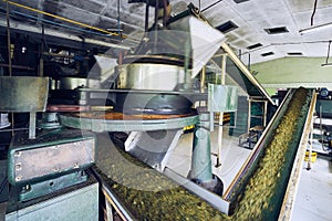 Production in tea factory