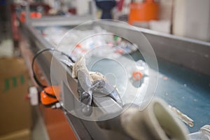 production line for the processing of plastic waste in the factory