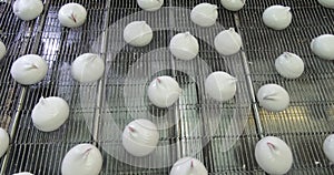 Production of marshmallows. An automated line for the production of sweet marshmallows from natural food products.