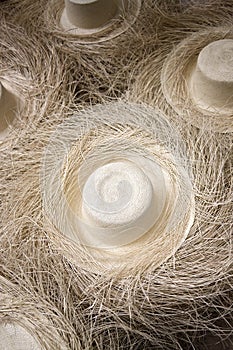 Production of Panama Hats - Cuenca - Ecuador