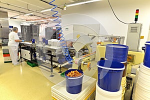 Production of pralines in a factory for the food industry - conveyor belt worker with chocolate