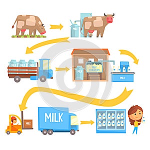 Production and processing milk stages set of vector Illustrations