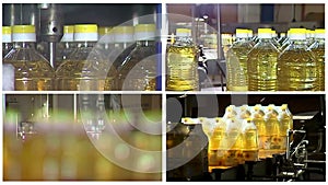 Production of refined sunflower oil multi screen