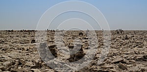 Production of salt on Karum lake, Danakil, Afar Ethiopia