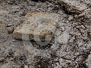 Production of salt on Karum lake, Danakil Afar, Ethiopia