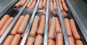 Production of sausages. Industrial meat processing plant.