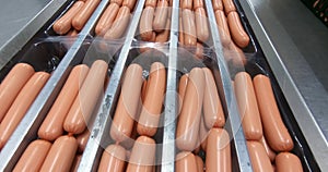 Production of sausages. Industrial meat processing plant.