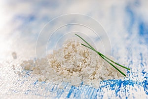 Production of sea - salt Fleur de sel in the salt fields of Guerande, Brittany, France photo