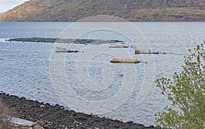 The production of seafoodin the Lochs of scotland