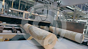 Production of wallpaper, a roll of wallpaper on a conveyor line, the final process for the production of wallpaper