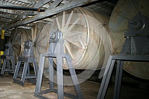 Production of wine