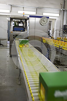 Production wine, juice and drink