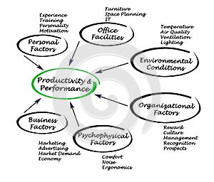 Productivity and Performance