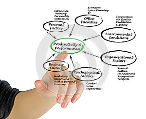 Productivity and Performance