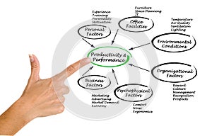 Productivity and Performance